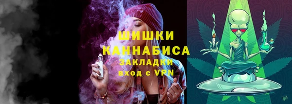 прущая мука Гусев