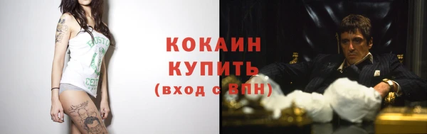 гидра Горно-Алтайск