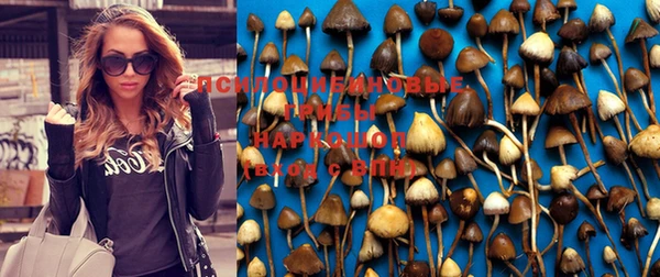 первитин Вязьма